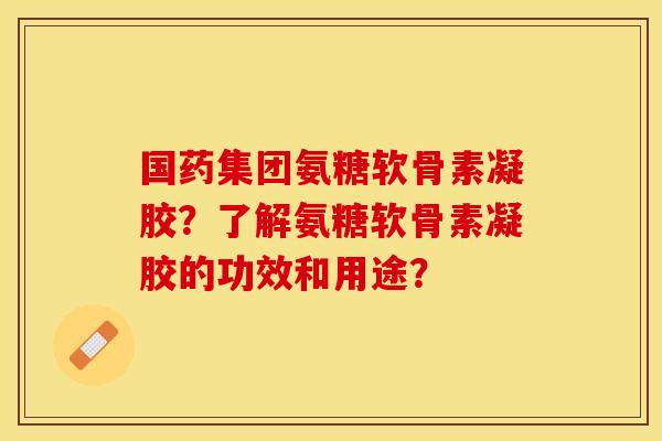 国药集团氨糖软骨素凝胶？了解氨糖软骨素凝胶的功效和用途？-第1张图片-关节保镖