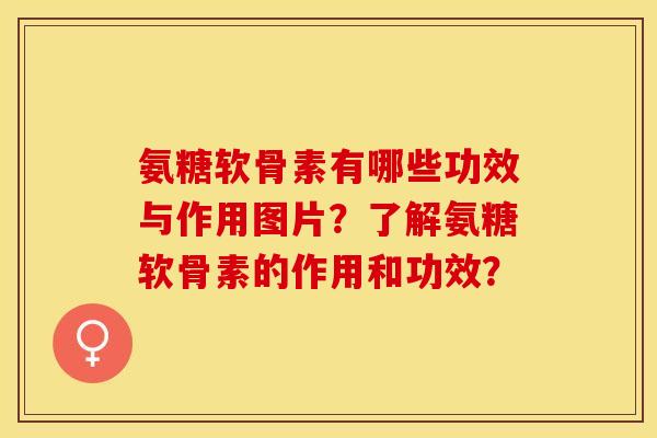 氨糖软骨素有哪些功效与作用图片？了解氨糖软骨素的作用和功效？-第1张图片-关节保镖