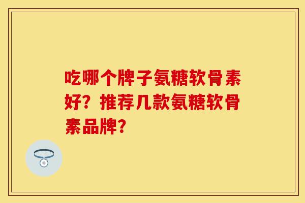 吃哪个牌子氨糖软骨素好？推荐几款氨糖软骨素品牌？-第1张图片-关节保镖