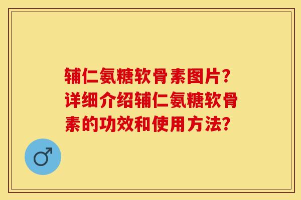 辅仁氨糖软骨素图片？详细介绍辅仁氨糖软骨素的功效和使用方法？-第1张图片-关节保镖