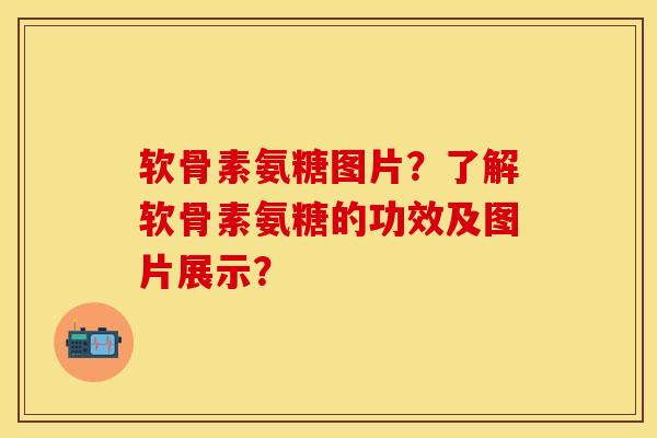 软骨素氨糖图片？了解软骨素氨糖的功效及图片展示？-第1张图片-关节保镖