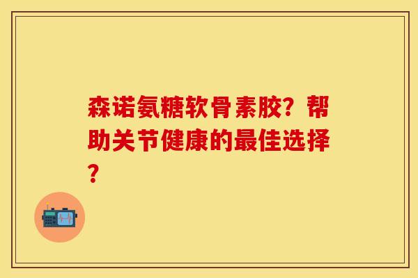 森诺氨糖软骨素胶？帮助关节健康的最佳选择？-第1张图片-关节保镖