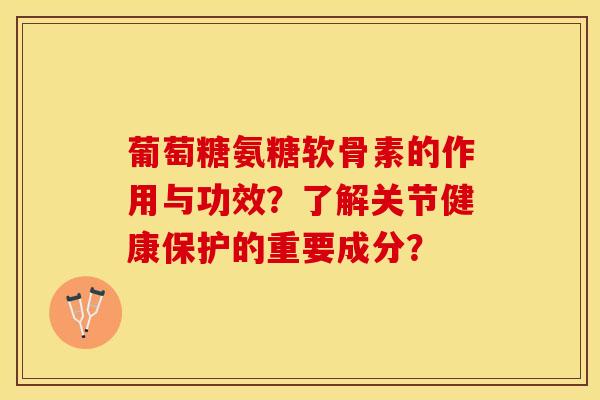 葡萄糖氨糖软骨素的作用与功效？了解关节健康保护的重要成分？-第1张图片-关节保镖