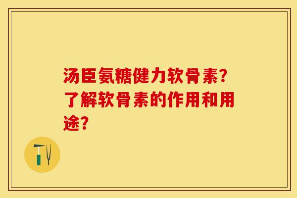 汤臣氨糖健力软骨素？了解软骨素的作用和用途？-第1张图片-关节保镖