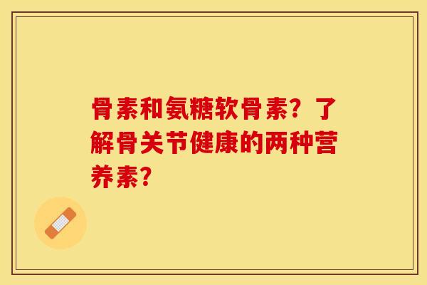 骨素和氨糖软骨素？了解骨关节健康的两种营养素？-第1张图片-关节保镖