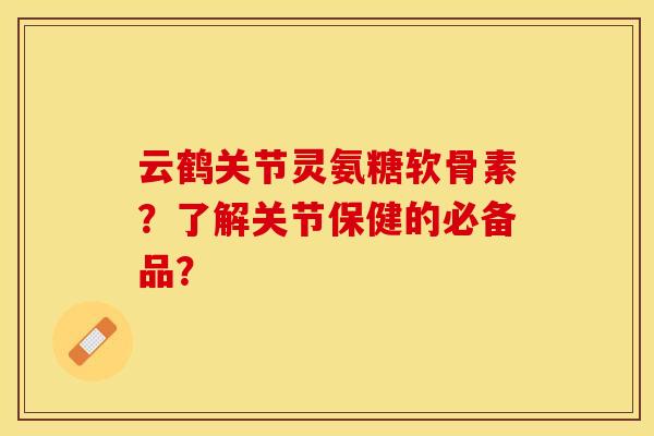 云鹤关节灵氨糖软骨素？了解关节保健的必备品？-第1张图片-关节保镖