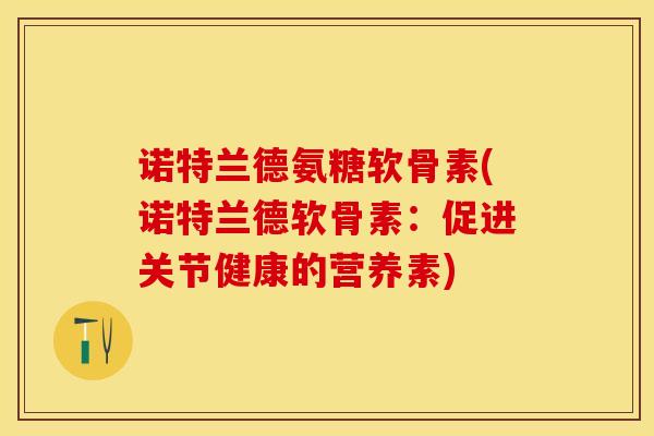 诺特兰德氨糖软骨素(诺特兰德软骨素：促进关节健康的营养素)-第1张图片-关节保镖