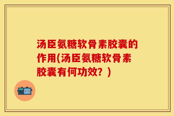 汤臣氨糖软骨素胶囊的作用(汤臣氨糖软骨素胶囊有何功效？)-第1张图片-关节保镖