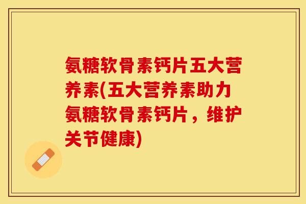 氨糖软骨素钙片五大营养素(五大营养素助力氨糖软骨素钙片，维护关节健康)-第1张图片-关节保镖