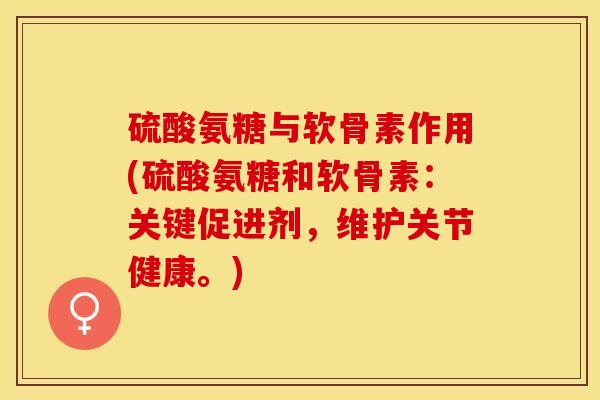 硫酸氨糖与软骨素作用(硫酸氨糖和软骨素：关键促进剂，维护关节健康。)-第1张图片-关节保镖