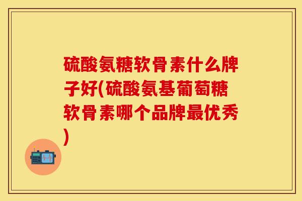 硫酸氨糖软骨素什么牌子好(硫酸氨基葡萄糖软骨素哪个品牌最优秀)-第1张图片-关节保镖