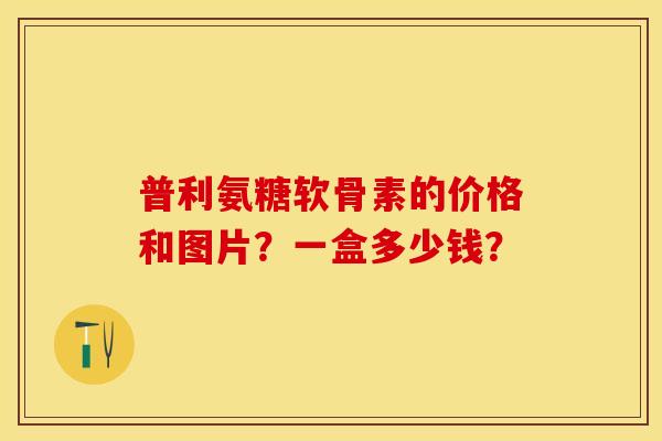 普利氨糖软骨素的价格和图片？一盒多少钱？
