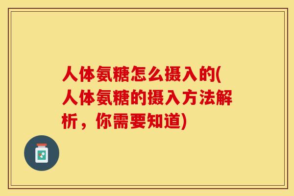 人体氨糖怎么摄入的(人体氨糖的摄入方法解析，你需要知道)