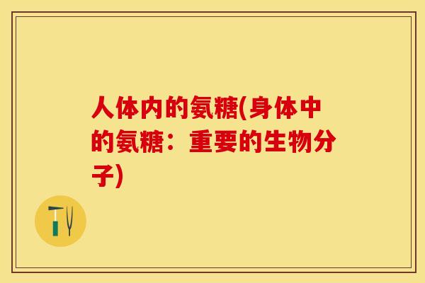 人体内的氨糖(身体中的氨糖:重要的生物分子) 人体内的氨糖(身体中的氨糖:重要的生物分子)