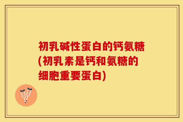 初乳碱性蛋白的钙氨糖(初乳素是钙和氨糖的细胞重要蛋白)