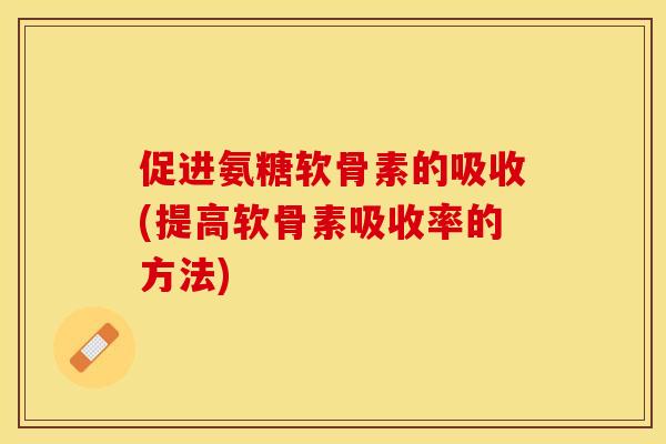 促进氨糖软骨素的吸收(提高软骨素吸收率的方法)
