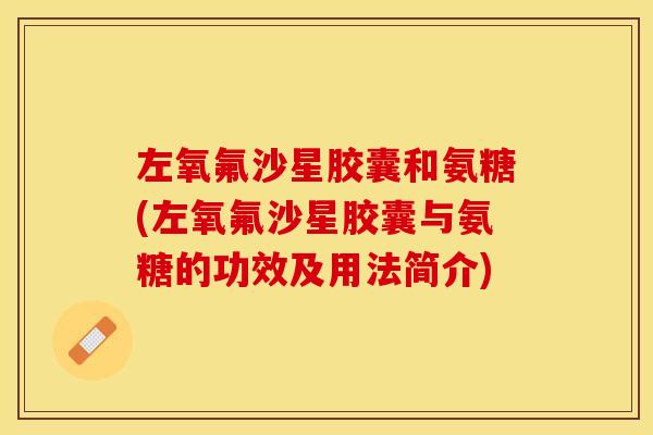 左氧氟沙星胶囊和氨糖(左氧氟沙星胶囊与氨糖的功效及用法简介)