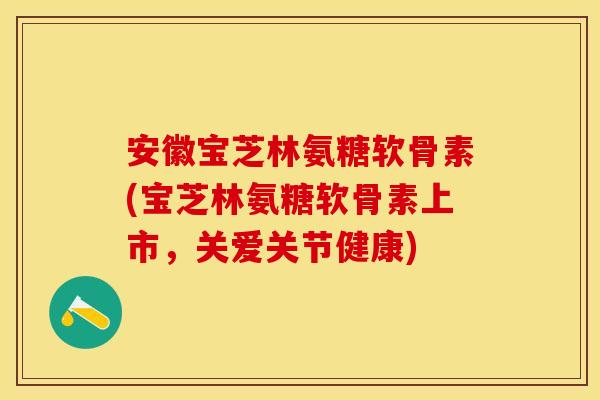 安徽宝芝林氨糖软骨素(宝芝林氨糖软骨素上市，关爱关节健康)
