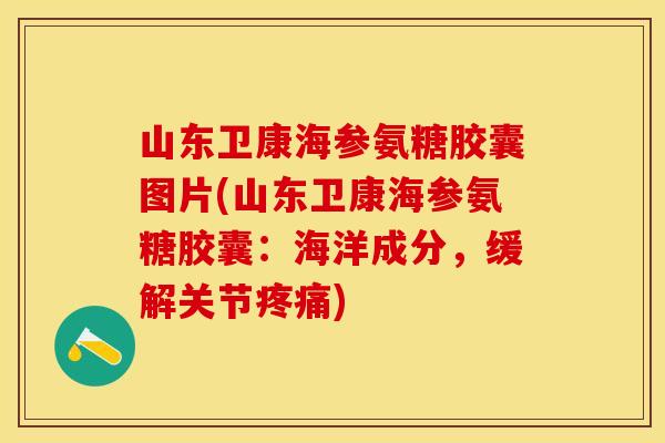 山东卫康海参氨糖胶囊图片(山东卫康海参氨糖胶囊：海洋成分，缓解关节疼痛)