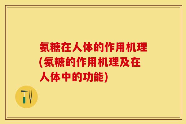 氨糖在人体的作用机理(氨糖的作用机理及在人体中的功能)