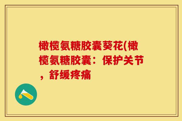 橄榄氨糖胶囊葵花(橄榄氨糖胶囊：保护关节，舒缓疼痛-第1张图片-关节保镖