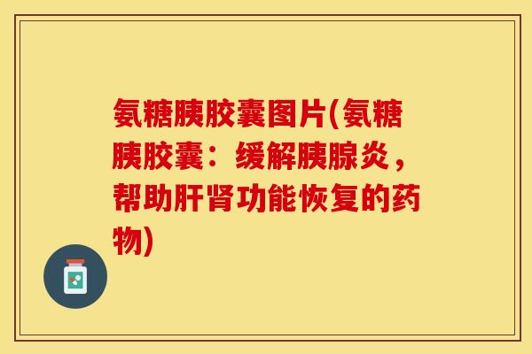 氨糖胰胶囊图片(氨糖胰胶囊：缓解胰腺炎，帮助肝肾功能恢复的药物)-第1张图片-关节保镖