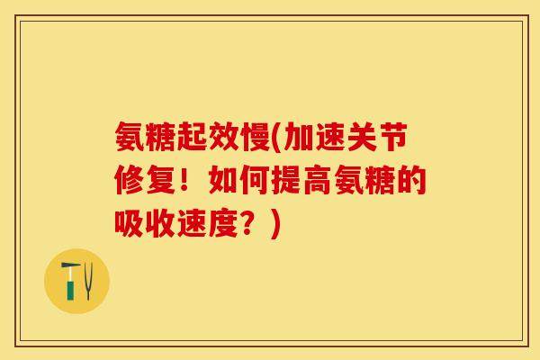 氨糖起效慢(加速关节修复！如何提高氨糖的吸收速度？)-第1张图片-关节保镖