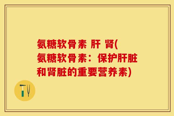 氨糖软骨素 肝 肾(氨糖软骨素：保护肝脏和肾脏的重要营养素)-第1张图片-关节保镖