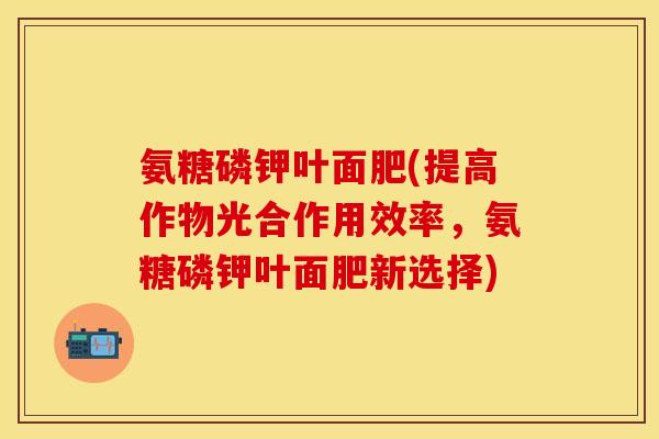 氨糖磷钾叶面肥(提高作物光合作用效率，氨糖磷钾叶面肥新选择)-第1张图片-关节保镖