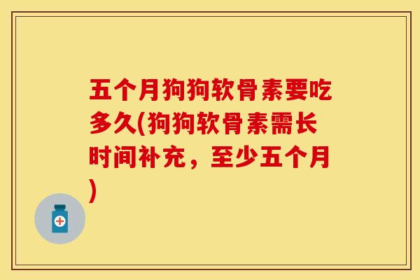 五个月狗狗软骨素要吃多久(狗狗软骨素需长时间补充，至少五个月)-第1张图片-关节保镖