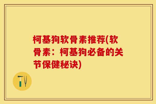 柯基狗软骨素推荐(软骨素：柯基狗必备的关节保健秘诀)-第1张图片-关节保镖