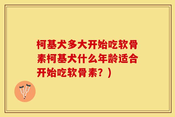 柯基犬多大开始吃软骨素柯基犬什么年龄适合开始吃软骨素？)-第1张图片-关节保镖