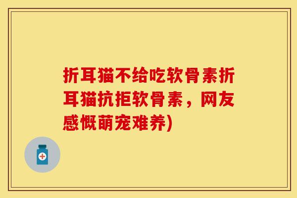 折耳猫不给吃软骨素折耳猫抗拒软骨素，网友感慨萌宠难养)-第1张图片-关节保镖