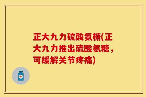 正大九力硫酸氨糖(正大九力推出硫酸氨糖，可缓解关节疼痛)-第1张图片-关节保镖