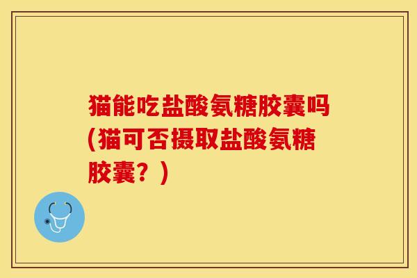 猫能吃盐酸氨糖胶囊吗(猫可否摄取盐酸氨糖胶囊？)-第1张图片-关节保镖