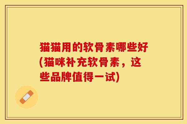 猫猫用的软骨素哪些好(猫咪补充软骨素，这些品牌值得一试)-第1张图片-关节保镖