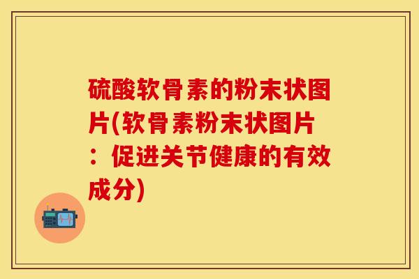 硫酸软骨素的粉末状图片(软骨素粉末状图片：促进关节健康的有效成分)-第1张图片-关节保镖