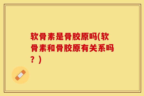 软骨素是骨胶原吗(软骨素和骨胶原有关系吗？)-第1张图片-关节保镖