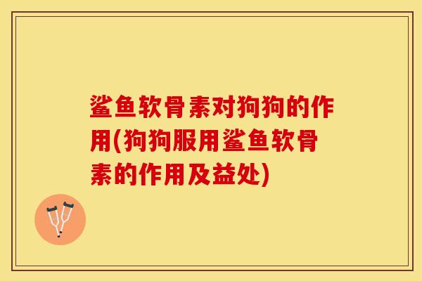 鲨鱼软骨素对狗狗的作用(狗狗服用鲨鱼软骨素的作用及益处)-第1张图片-关节保镖