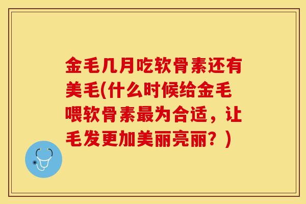 金毛几月吃软骨素还有美毛(什么时候给金毛喂软骨素最为合适，让毛发更加美丽亮丽？)-第1张图片-关节保镖