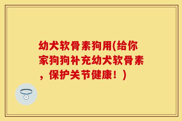 幼犬软骨素狗用(给你家狗狗补充幼犬软骨素，保护关节健康！)-第1张图片-关节保镖