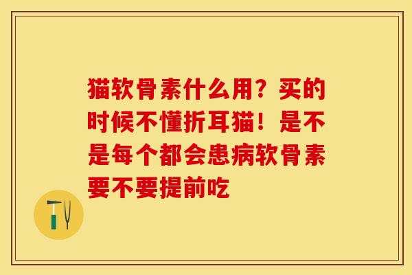 猫软骨素什么用？买的时候不懂折耳猫！是不是每个都会患病软骨素要不要提前吃-第1张图片-关节保镖
