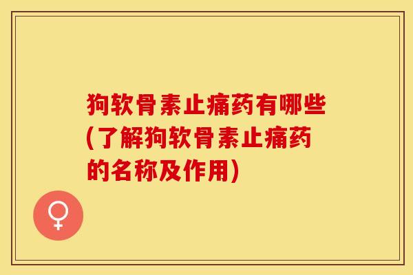 狗软骨素止痛药有哪些(了解狗软骨素止痛药的名称及作用)-第1张图片-关节保镖
