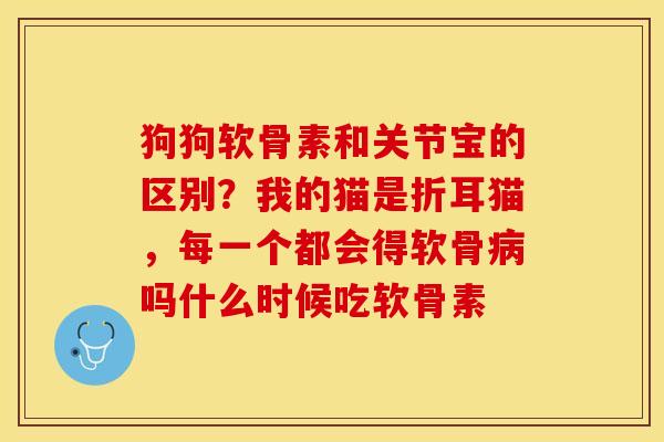 狗狗软骨素和关节宝的区别？我的猫是折耳猫，每一个都会得软骨病吗什么时候吃软骨素-第1张图片-关节保镖