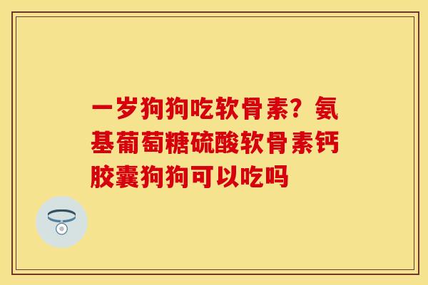 一岁狗狗吃软骨素？氨基葡萄糖硫酸软骨素钙胶囊狗狗可以吃吗-第1张图片-关节保镖