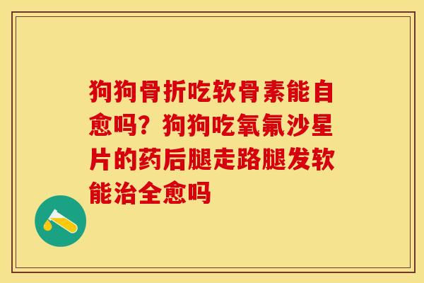 狗狗骨折吃软骨素能自愈吗？狗狗吃氧氟沙星片的药后腿走路腿发软能治全愈吗-第1张图片-关节保镖