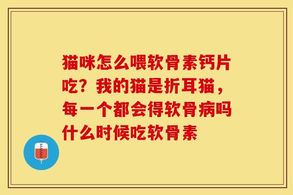 猫咪怎么喂软骨素钙片吃？我的猫是折耳猫，每一个都会得软骨病吗什么时候吃软骨素-第1张图片-关节保镖