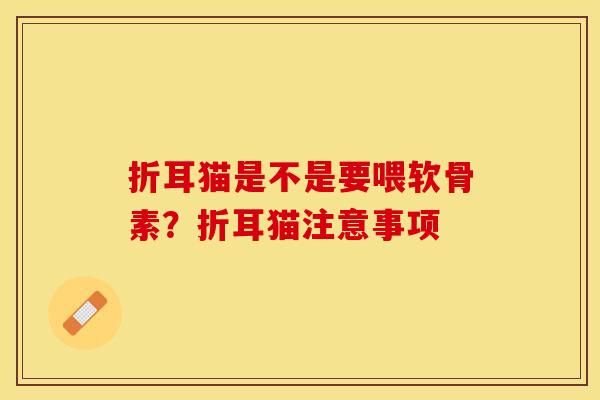 折耳猫是不是要喂软骨素？折耳猫注意事项-第1张图片-关节保镖