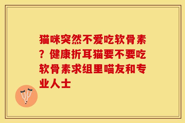 猫咪突然不爱吃软骨素？健康折耳猫要不要吃软骨素求组里喵友和专业人士-第1张图片-关节保镖