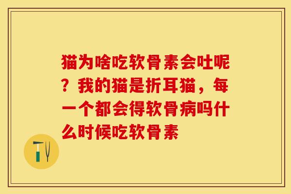 猫为啥吃软骨素会吐呢？我的猫是折耳猫，每一个都会得软骨病吗什么时候吃软骨素-第1张图片-关节保镖